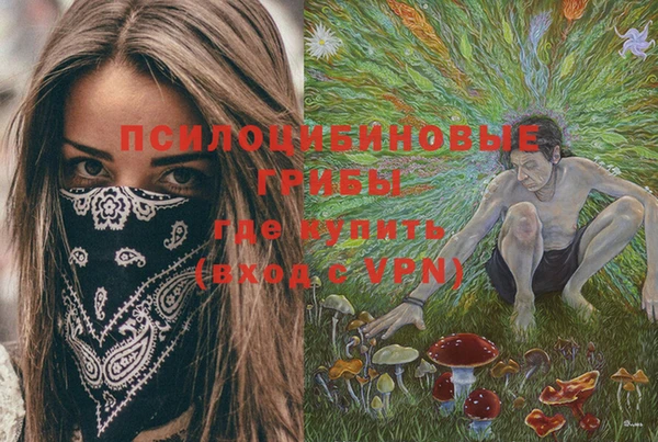 COCAINE Каменногорск
