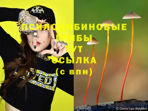 герыч Каменск-Шахтинский