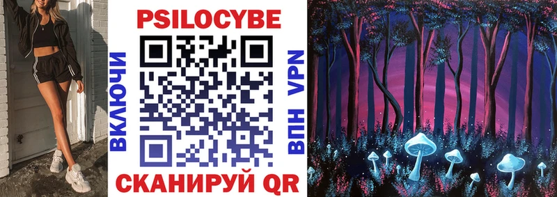 Купить закладки  Первомайск  Псилоцибиновые грибы Cubensis 